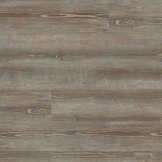 Expona Domestic 5979 Grey Pine