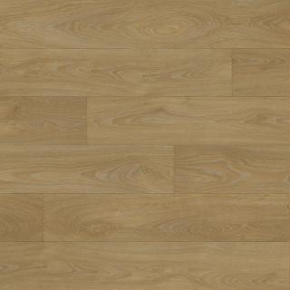 Fortex 2041