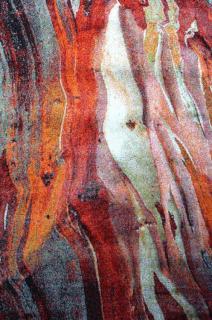 RUST 21304-910 red Velikost: 240/340