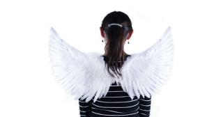 Křídla andělská bílá třpytivá
