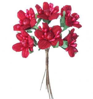 Květy poisentie červené 6 ks
