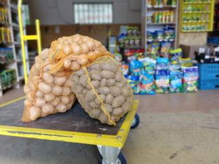 Červené brambory na uskladnění červené á 25kg