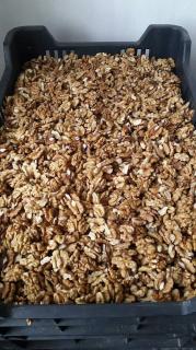 OVO-SADBA Vlašské ořechy 1kg