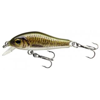 CORMORAN COR F1 CORMORAN COR F1, carp