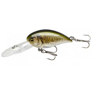 CORMORAN COR F12 CORMORAN COR F12, carp