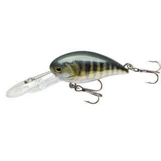 CORMORAN COR F12 CORMORAN COR F12, perch