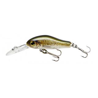 CORMORAN COR F2 CORMORAN COR F2, carp