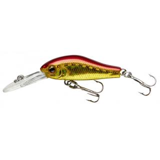 CORMORAN COR F2 CORMORAN COR F2, hot orange