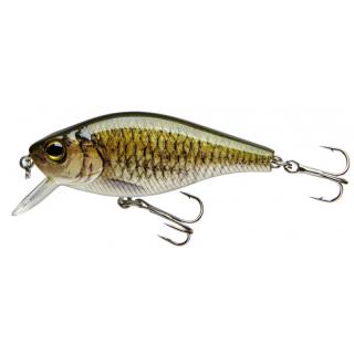 CORMORAN COR F5 CORMORAN COR F5, carp
