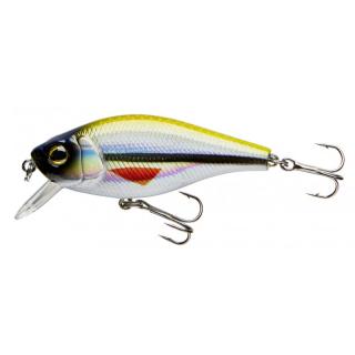 CORMORAN COR F5 CORMORAN COR F5, special ayu
