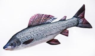 Plyšová ryba střední tuňák Imitace ryby střední lipan