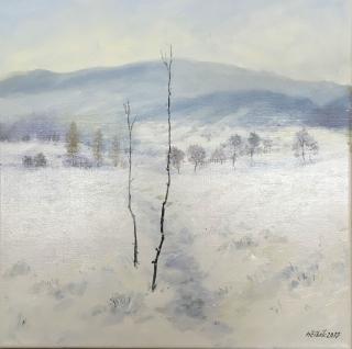 Česká zima – Milan Čihák (*1964)
