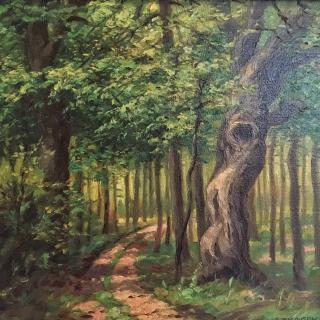 Lesní zátiší – Karel Brousek (1880 – 1953)