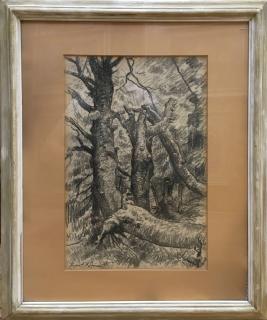 Staré stromy – František Hofman (1891-1996)