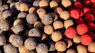 Kranas - krmný boilies Balení: 10kg