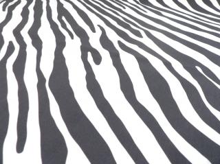 DOMESTIK 145/27262-2 vzor zebra šíře 220cm / METRÁŽ NA MÍRU