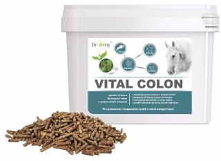 Vital Colon 3,3 kg