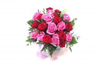 Flower box s růžemi