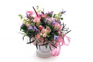 Flowerbox Bianca - anturie, růže, mathiola, clematis, statice, eucalypt Velikost: M