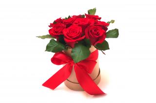Flowerbox Mini - růže