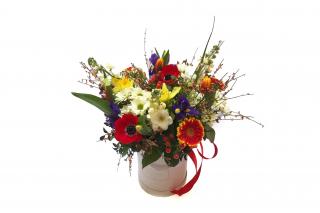 Flowerbox Natalie - iris, narcis, frézie, germína, hledík, anemone Velikost: L