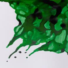Drawing Inks 14ml Různé barvy barvy: Briliant green