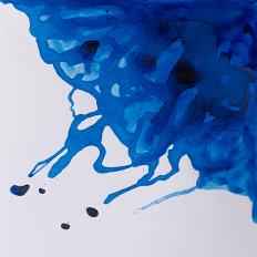 Drawing Inks 14ml Různé barvy barvy: Cobalt