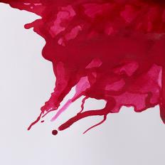Drawing Inks 14ml Různé barvy barvy: Crimson