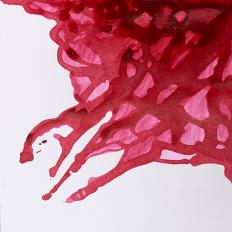 Drawing Inks 14ml Různé barvy barvy: Deep red