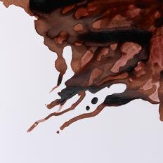 Drawing Inks 14ml Různé barvy barvy: Nut brown