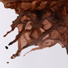 Drawing Inks 14ml Různé barvy barvy: Peat brown