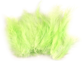Peří pštrosí 9-16 cm BARVA: 30 sv. zelená