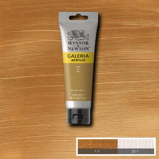 WINSOR NEWTON Galeria Acrylic 120ml Galeria barva: Gold 283