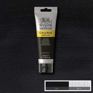 WINSOR NEWTON Galeria Acrylic 120ml Galeria barva: Ivory Black 331