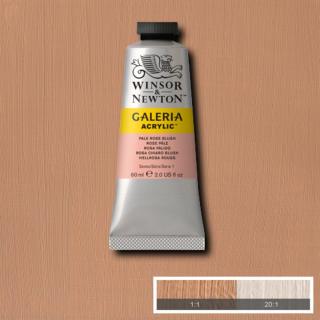 WINSOR NEWTON Galeria Acrylic 120ml Galeria barva: Pale Rose Blush 257