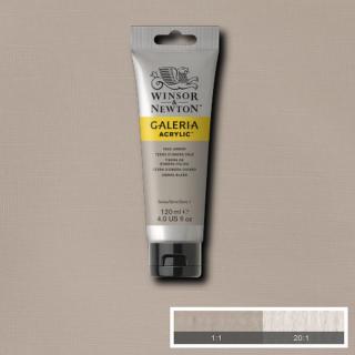 WINSOR NEWTON Galeria Acrylic 120ml Galeria barva: Pale Umber 438