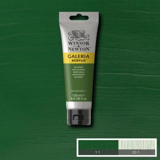 WINSOR NEWTON Galeria Acrylic 120ml Galeria barva: Sap Green 599