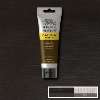 WINSOR NEWTON Galeria Acrylic 120ml Galeria barva: Vandyke Brown 676