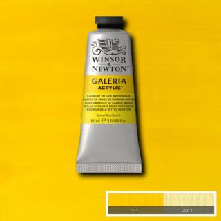 WINSOR NEWTON Galeria Acrylic 60ml Galeria barva: Cadmium Yellow Medium Hue 120