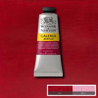 WINSOR NEWTON Galeria Acrylic 60ml Galeria barva: Permanent Alizarin Crimson 466