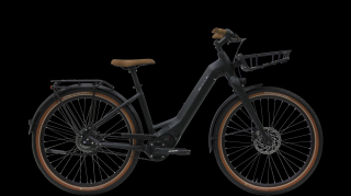 Bulls STURMVOGEL EVO 5 750Wh (2020) - dámské Velikost rámu: 41 cm dámský