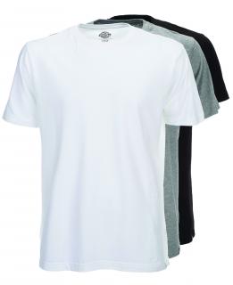 DICKIES MULTI-COLOUR T-SHIRT PACK Velikost: L