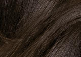 Barva na vlasy s bambuckým máslem - RENÉE BLANCHE - RENÉECOLOR Odstín: 4N HNĚDÁ