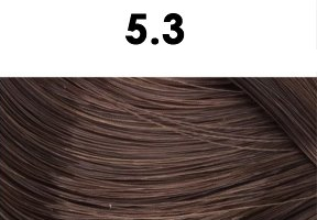 BHEYSÉ HAIR COLOR - Profesionální oxidační permanentní barva na vlasy s arganovým olejem a keratinem - PRO PROFESIONÁLY Odstín: 5.3 LIGHT GOLDEN BROWN