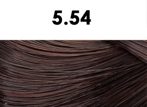 BHEYSÉ HAIR COLOR - Profesionální oxidační permanentní barva na vlasy s arganovým olejem a keratinem - PRO PROFESIONÁLY Odstín: 5.54 LIGHT BROWN…