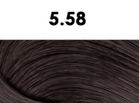 BHEYSÉ HAIR COLOR - Profesionální oxidační permanentní barva na vlasy s arganovým olejem a keratinem - PRO PROFESIONÁLY Odstín: 5.58 MILK CHOCOLATE…