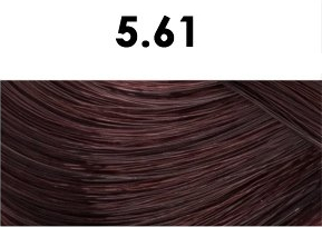 BHEYSÉ HAIR COLOR - Profesionální oxidační permanentní barva na vlasy s arganovým olejem a keratinem - PRO PROFESIONÁLY Odstín: 5.61 LIGHT MAHOGANY…