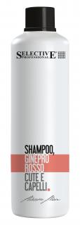 Šampon na vlasy + pokožka - ARTISTIC FLAIR - GINEPRO ROSSO 1000 ml