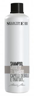 Šampón pro suché a lámavé vlasy - ARTISTIC FLAIR - MIDOLLO DI BAMBOO 1000 ml