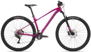 Catherine 40-29 /Gloss Pink/Crimson/Pink Rám: 15"